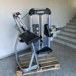 Cybex Prestige Triceps Extension