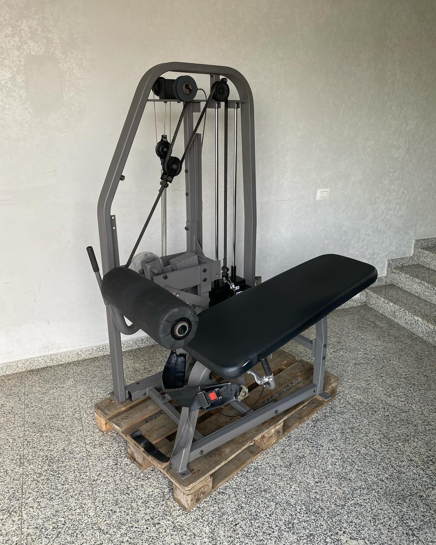Nautilus 2ST Hip Extension