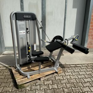 Cybex Eagle Prone Leg Curl